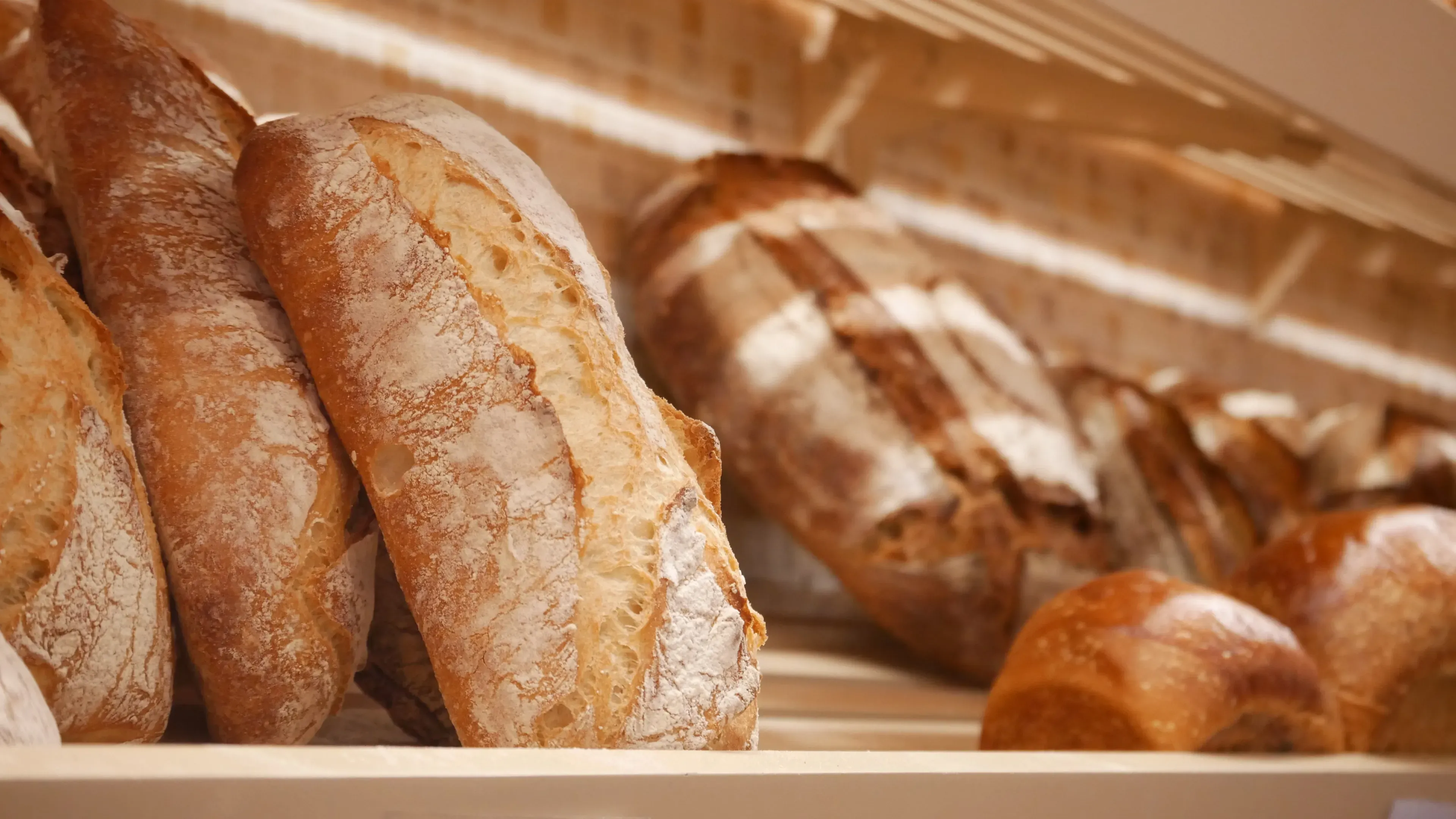 Bakery - Intérieur 3